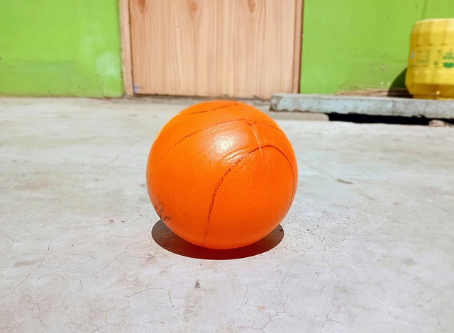 尤文图斯仅 尤文图斯仅