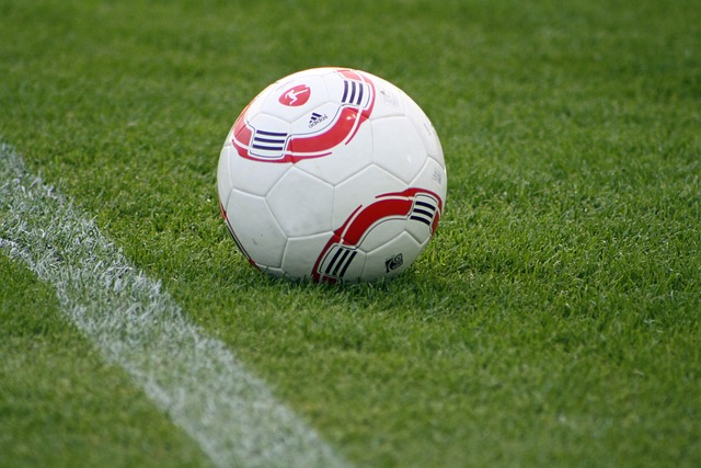 龙泽煌的惊 龙泽煌的惊