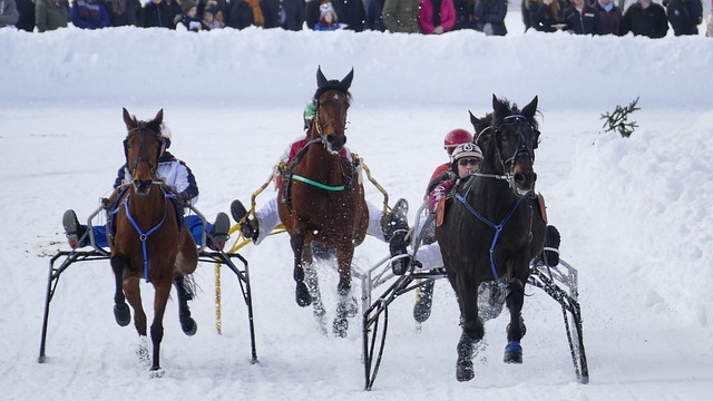 功案例可以 功案例可以