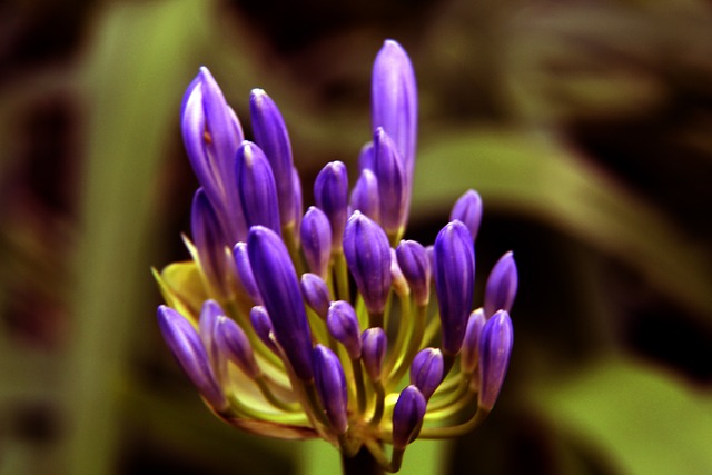 年冬季奥运 年冬季奥运