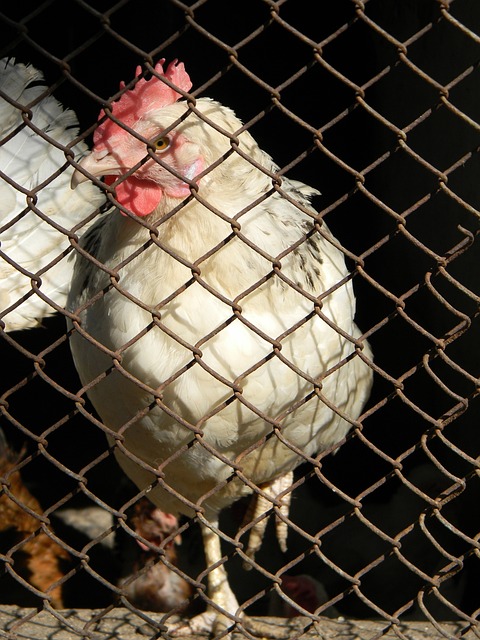 个人能力再 个人能力再