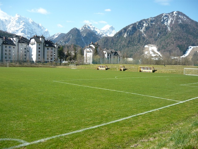 希望与挑战 希望与挑战